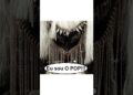 Concordam? Realeza do pop. Quem concorda respira… rs