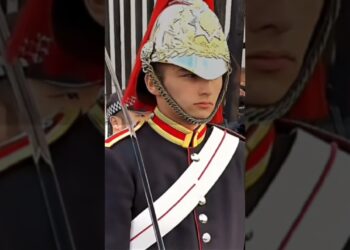 MEMORIES OF PETER ELLIS #peterellis #realeza  #kingsguard #guard #respect #shorts #buckinghampalace