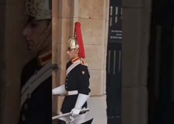 Do you miss him 🥴 #kingsguard #peterellis #buckinghampalace #realeza #guard #shorts #king