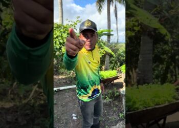 Não gosto de fofocas