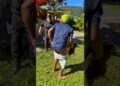 Como a fofoca espalha 😂 #humor #shorts #viral #funny #fy
