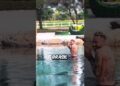 AS 5 PISCINAS NATURAIS MAIS CARAS DOS FAMOSOS NO BRASIL #lagoartificial #famosos #shorts