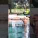 AS 5 PISCINAS NATURAIS MAIS CARAS DOS FAMOSOS NO BRASIL #lagoartificial #famosos #shorts