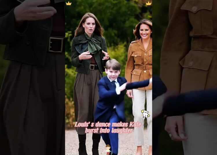 The Little Ray of Sunshine in the Royal Family Prince Louis#royal