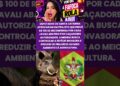 Santa Catarina aprovam recompensa para abate de javali # #noticias #fofoca #shorts #reels #foryou