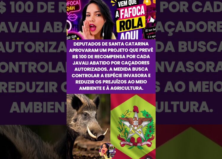 Santa Catarina aprovam recompensa para abate de javali # #noticias #fofoca #shorts #reels #foryou
