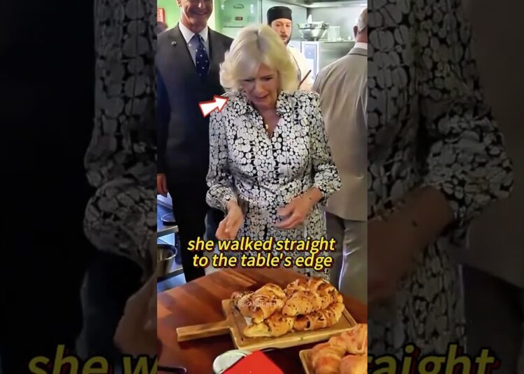 Did you notice Camilla’s eyes? #fyp #fypシ #celebrity #royal #queencamilla