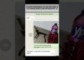kkkkk tadinho do gato #viral #memes #humor #comedia #conversas #polemica #fofocas #detergente