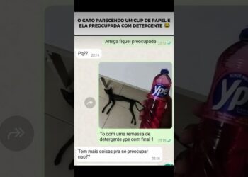 kkkkk tadinho do gato #viral #memes #humor #comedia #conversas #polemica #fofocas #detergente