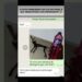 kkkkk tadinho do gato #viral #memes #humor #comedia #conversas #polemica #fofocas #detergente