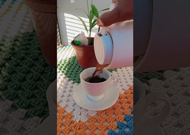 bom dia realeza com essa linda vista toalha de mesa de crochê