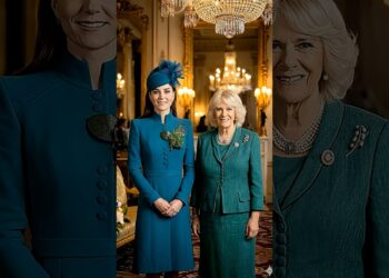 The Princess Catherine vs. Queen Camilla Contrast is WILD 👑 #kate #camilla #royal #royalfamily