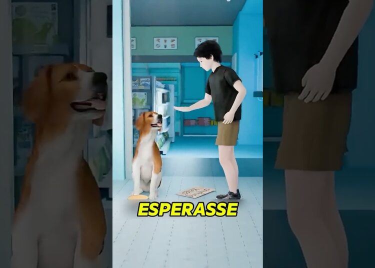 o cachorro de rua que conquistou a realeza