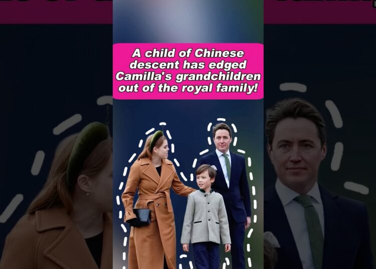 A child of Chinese descent has edged Camilla’s grandchildren out of the royal family! #royal