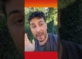 GALEGA AZEDA O QUE É? #carlinhosmaia # #viviteconta #noticias #fofocas #luanapiovani #fypシ #famosos