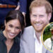 A princesa Diana supostamente gravou fitas secretas alertando a esposa do príncipe Harry, Meghan Markle: ‘Não deixe que comam você viva’ |