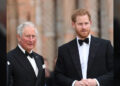 A reunião do príncipe Harry com o rei Charles é considerada 'perigosa' pelo autor real