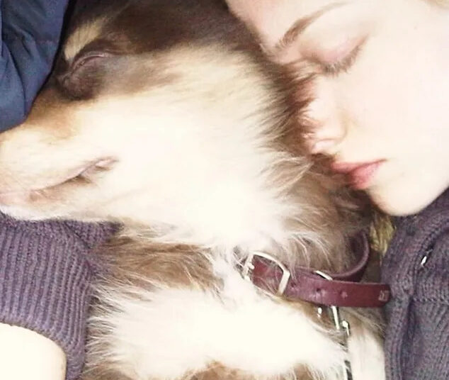 Amanda Seyfried lamenta a morte do amado cachorro Finn
