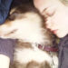 Amanda Seyfried lamenta a morte do amado cachorro Finn