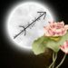 sagittarius full moon astrology june 2023