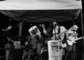 Eventos esta semana em Cambridge e Somerville: música ao vivo, semana da mariposa e reconstituição histórica