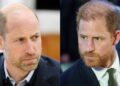 'F-ing odeia seu irmão': especialista real revela quatro palavras contundentes de insiders para descrever os verdadeiros sentimentos do príncipe William em relação a Harry