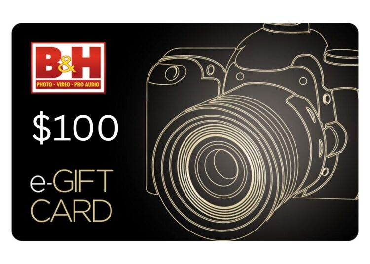 Ganhe um vale-presente fotográfico da B&H de US$ 100: junte-se ao painel de pesquisa fotográfica do Good Entertainment Group