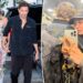 Gigi Hadid compartilha um raro olhar sobre o romance de Bradley Cooper
