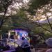 Guia do Takato Jazz & Blues Festival 2026