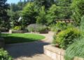 Guitarra – Música no Jardim com Amigos do Portland Memory Garden