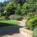 Guitarra – Música no Jardim com Amigos do Portland Memory Garden