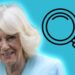 Jogue o jogo real da diferença da OLÁ!: Rainha Camilla no camarote real