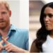 Meghan Markle gets roasted: ‘Not even Harry can help her dream in the US’
