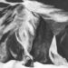 Nova música – Midori Hirano: The Juniper Tree (Viernulvier Records / Thrill Jockey)