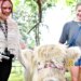 Os eventos de fim de semana no Condado de York incluem festival do livro, trem borboleta e música