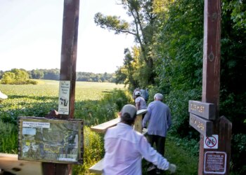Passeios de pássaros, música e caça a insetos chegando a Kohler-Andrae