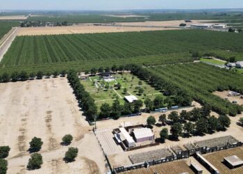 Planos para o local de música Rock'N Ranch transformado em Madera