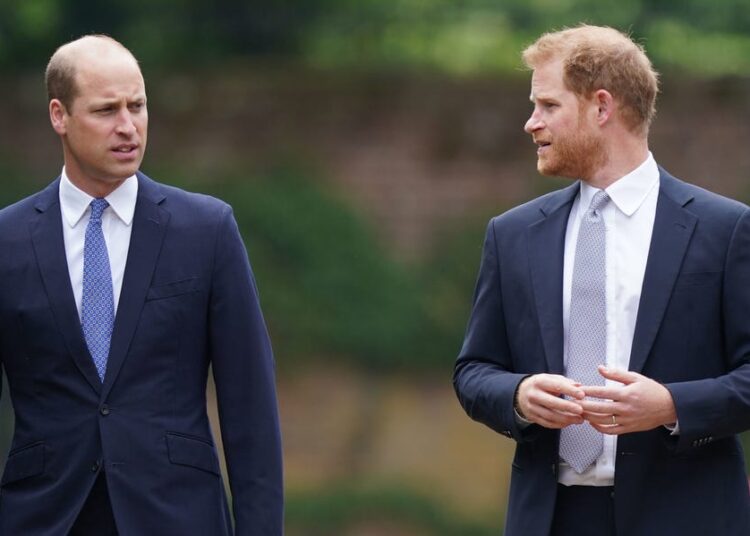 Por que o príncipe William e Harry não se reuniram durante a última visita real do duque