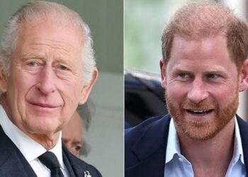 Prince Harry’s friends share his true feelings after meeting King Charles with family