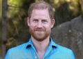 Prince Harry’s royal dream ignites: ‘I can still serve the King this way!’