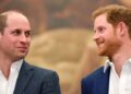 Prince William, Prince Harry’s former aide breaks silence on royal brothers’ feud