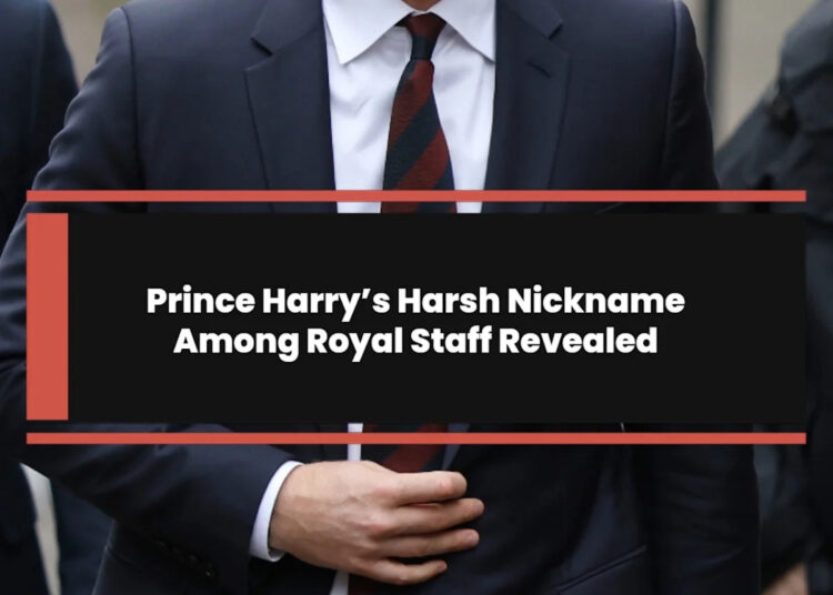 Revelado o apelido severo do príncipe Harry entre a equipe real
