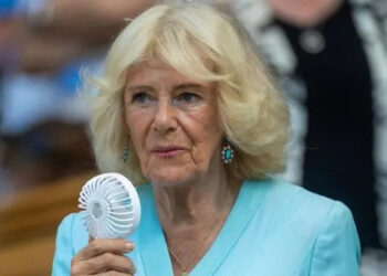Revelado o papel da Rainha Camilla no encontro entre o Príncipe Harry e o Rei Charles - Autor Real