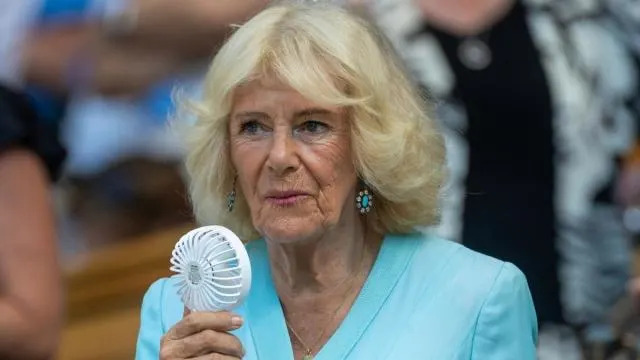 Revelado o papel da Rainha Camilla no encontro entre o Príncipe Harry e o Rei Charles - Autor Real