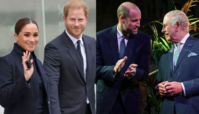 Royal expert finally reveals Prince William’s reaction over Meghan Markle, Harry meeting with King Charles