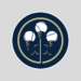 San Diego Padres x Kansas City Royals