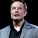 'Tom Holland Is…': Elon Musk responde à crítica da Odyssey, o homônimo do ator diz ISTO