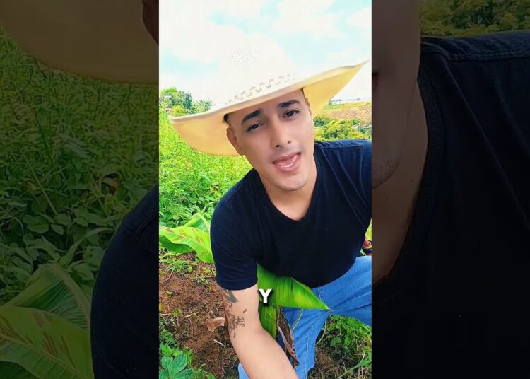 Nunca pierdan la humildad 🤠 #musica #purocorazon #musicapopular #music