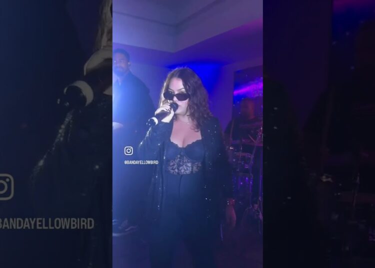 Você não vai acreditar na energia desse show – Banda Yellowbird ao vivo
