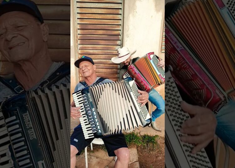chorou chorou Sanfona VEIA #sanfona #sucesso #top #shortviral #musica #shorts #viralshorts